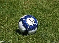 泰山球迷旗,袍助力,展望,体育博彩,体育博彩平台,博彩平台排名评级