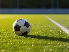 激情碰撞,山东泰山迎,战河南队,体育博彩,体育博彩平台,博彩平台排名评级