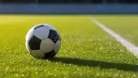 激情碰撞！山东泰山迎战河南队，22876球迷现场热情高涨