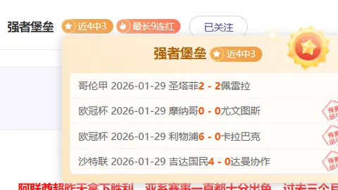 独家揭秘！NBA焦点对决：独行侠激战森林狼，五大胜利战局深度解析！